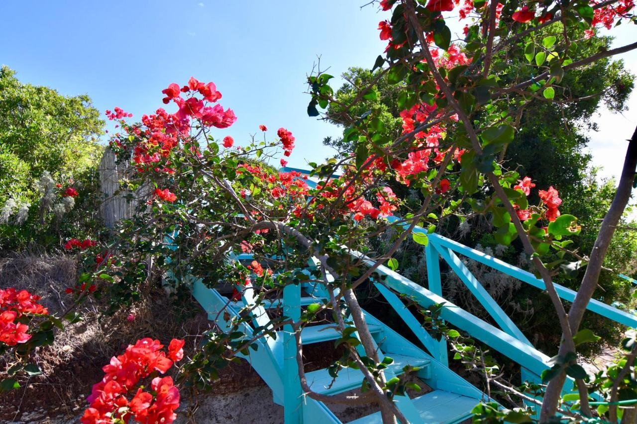 Poecylia Bed & Breakfast Carloforte  Exterior photo